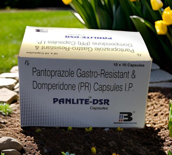  PANLITE - DSR